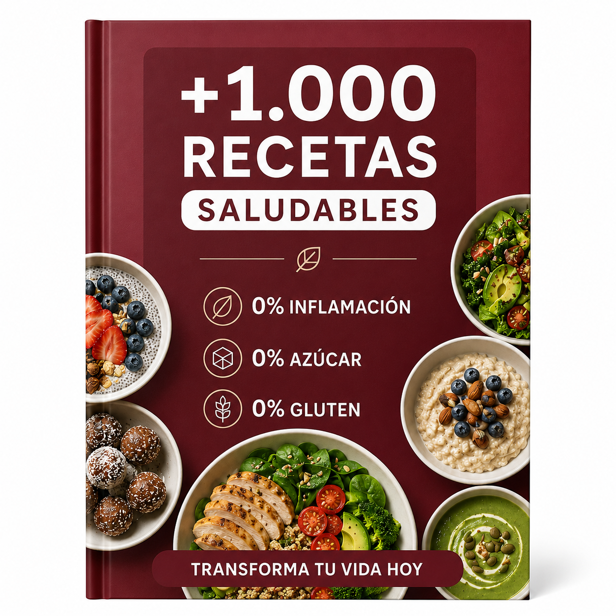 Agregar Guía Digital - Más de 100 Recetas Ricas y Saludables