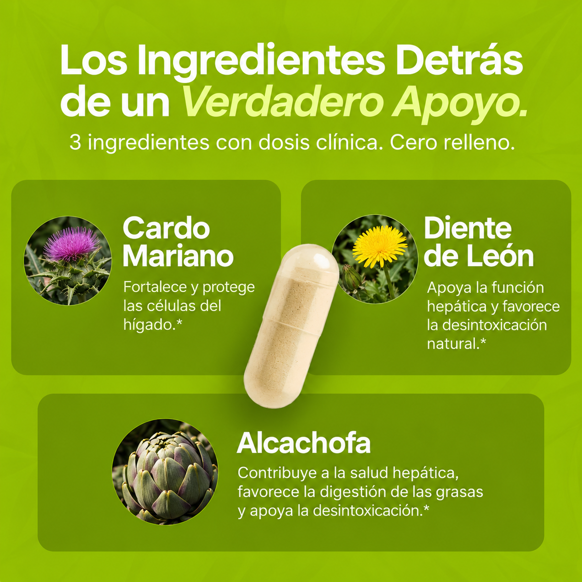 Femme - Apoyo Hepático y Detox con Cardo Mariano