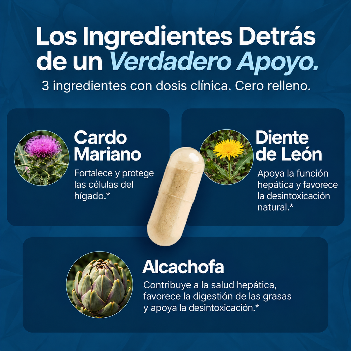 femme - Cardo Mariano para Apoyo Hepático y Detox