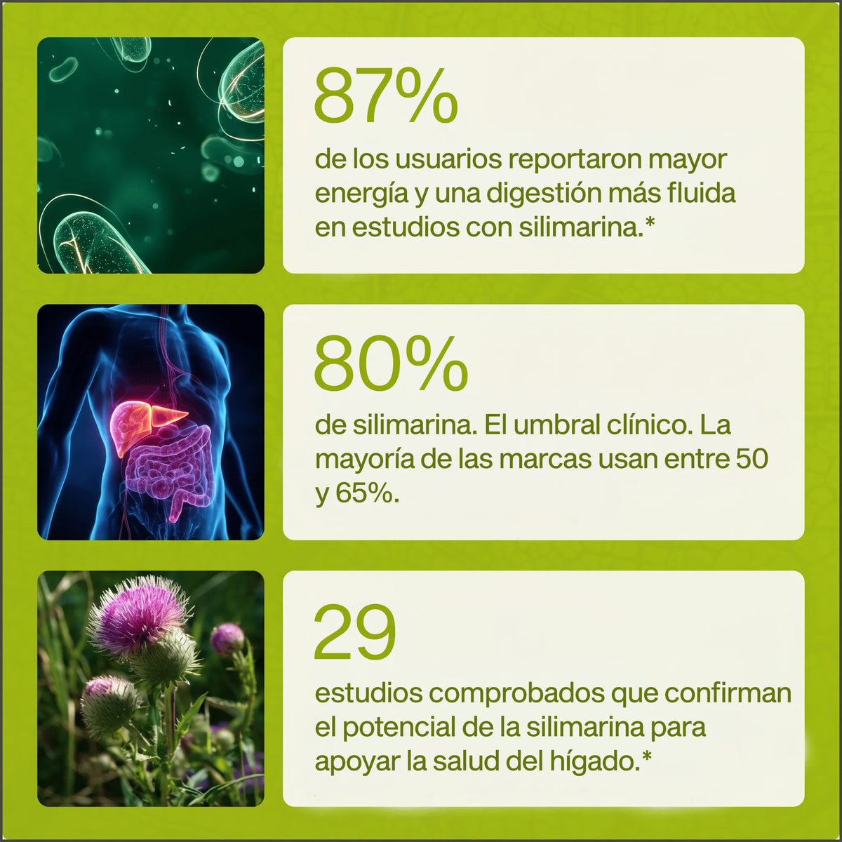 Femme - Apoyo Hepático y Detox con Cardo Mariano