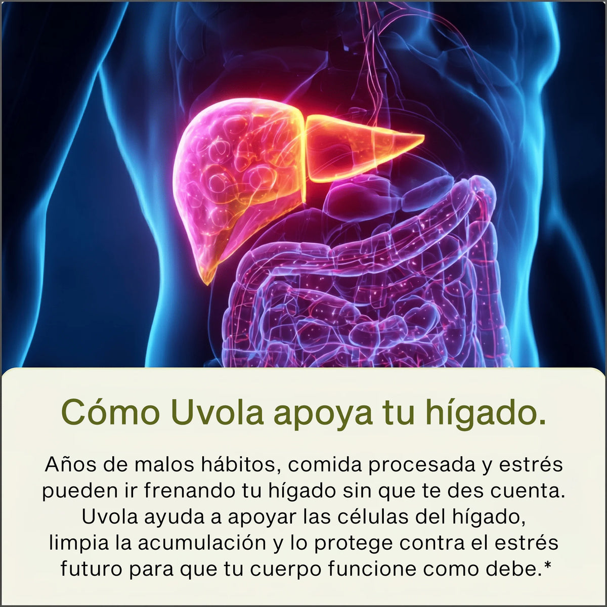 Femme - Apoyo Hepático y Detox con Cardo Mariano