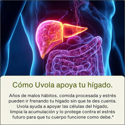 Femme - Apoyo Hepático y Detox con Cardo Mariano